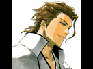 https://image.noelshack.com/fichiers/2015/43/1445719732-aizen-taicho.jpg