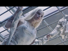 https://image.noelshack.com/fichiers/2015/44/1445865120-harley-quinn-prison-580x328.jpg