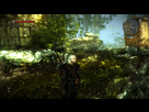 https://image.noelshack.com/fichiers/2015/44/1445968472-witcher2-2015-10-27-18-35-16-87.jpg