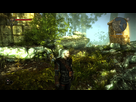 https://image.noelshack.com/fichiers/2015/44/1445968538-witcher2-2015-10-27-18-41-20-73.jpg