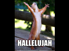 https://image.noelshack.com/fichiers/2015/44/1446052203-hallelujah.jpg
