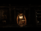 https://image.noelshack.com/fichiers/2015/44/1446132780-2-1-bonus.png