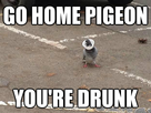 https://image.noelshack.com/fichiers/2015/44/1446308879-go-home.jpg