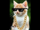 https://image.noelshack.com/fichiers/2015/45/1446569413-noelprint.png