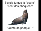 https://image.noelshack.com/fichiers/2015/45/1446660074-fb-img-1429918089097.jpg