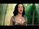 https://image.noelshack.com/fichiers/2015/45/1446766333-katy-perry-roar-02.jpg