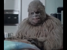 https://image.noelshack.com/fichiers/2015/46/1447120384-ivgmafv.gif
