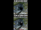 https://image.noelshack.com/fichiers/2015/46/1447192734-tout-n-est-ke-tromperi.jpg