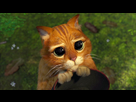 https://image.noelshack.com/fichiers/2015/46/1447231960-le-chat-potte-06.jpg