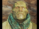 https://image.noelshack.com/fichiers/2015/46/1447254218-fallout-4-20151111160046.jpg