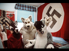 https://image.noelshack.com/fichiers/2015/47/1447785965-tumblr-mcvq88oroh1r1dx8yo1-1280.jpg
