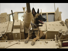 https://image.noelshack.com/fichiers/2015/47/1447821774-belgian-shepherd-malinois-on-top-of-tank.jpg