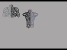 https://image.noelshack.com/fichiers/2015/47/1448069641-muscles.jpg