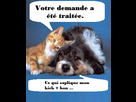 https://image.noelshack.com/fichiers/2015/47/1448215328-chatchien.png