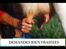 https://image.noelshack.com/fichiers/2015/47/1448221126-traite-dune-vache-normande-a-la-main-img-0028-ferme-376782t650.jpg