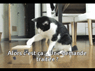 https://image.noelshack.com/fichiers/2015/47/1448226504-ezgif-292067361.gif