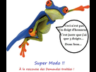 https://image.noelshack.com/fichiers/2015/48/1448294018-tyr1.jpg
