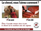 https://image.noelshack.com/fichiers/2015/48/1448325004-vdc.jpg