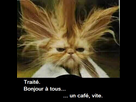 https://image.noelshack.com/fichiers/2015/48/1448386335-peter-au-reveil1.jpg