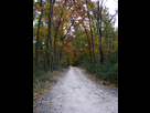 https://image.noelshack.com/fichiers/2015/48/1448391317-foret-de-bouconne.jpeg