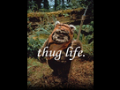 https://image.noelshack.com/fichiers/2015/48/1448394722-wicket-thug-life.jpg