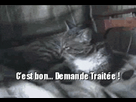 https://image.noelshack.com/fichiers/2015/48/1448462325-ezgif-3438578584.gif