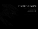 https://image.noelshack.com/fichiers/2015/48/1448472417-pineapple-engine3.jpg