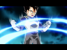 https://www.noelshack.com/2015-48-1448669202-vegeta-ssgss-full.png