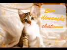 https://image.noelshack.com/fichiers/2015/48/1448781846-bon-dimanche.jpg
