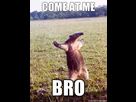 https://image.noelshack.com/fichiers/2015/48/1448835484-come-at-me-bro.jpg