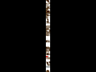 https://image.noelshack.com/fichiers/2015/49/1448931918-rendufull.jpg