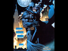 https://image.noelshack.com/fichiers/2015/49/1448985896-batcat6.png
