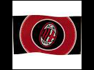https://image.noelshack.com/fichiers/2015/49/1449161701-rapo-ac-milan.jpg