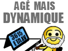 https://image.noelshack.com/fichiers/2015/49/1449343772-agemaisdynamique3.png