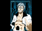 https://www.noelshack.com/2015-50-1449944480-grimmjow-troll.jpg