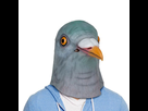 https://image.noelshack.com/fichiers/2015/51/1450435266-masque-tete-de-pigeon.jpg