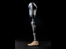 https://image.noelshack.com/fichiers/2015/51/1450451200-c-leg-prothese.jpg
