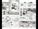 https://image.noelshack.com/fichiers/2015/52/1450874524-dragon-ball-tome-25-81.jpg