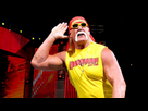 https://image.noelshack.com/fichiers/2015/52/1451028336-wwe-2k16-hulk-hogan.jpg