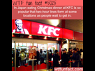https://image.noelshack.com/fichiers/2015/52/1451063175-tumblr-nzx9pisl4g1roqv59o1-5002.png