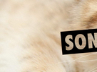 https://image.noelshack.com/fichiers/2015/53/1451431318-logo-1.png
