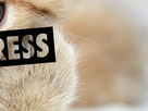 https://image.noelshack.com/fichiers/2015/53/1451431341-logo-3.png