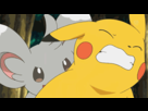 https://image.noelshack.com/fichiers/2016/01/1452382305-wtf-pokemon-pika-sex-2.gif