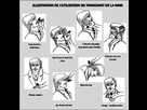 https://image.noelshack.com/fichiers/2016/02/1452784374-c8e13b99ca-illustration-tranchant-main.jpg