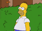 https://image.noelshack.com/fichiers/2016/02/1452972791-giphy.gif