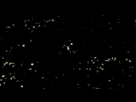 https://image.noelshack.com/fichiers/2016/02/1453032688--.gif