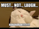 https://image.noelshack.com/fichiers/2016/03/1453177488-must-no-laugh.jpg