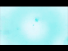 https://image.noelshack.com/fichiers/2016/03/1453237747-collapsing-star-roaring-cannon.gif