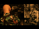 https://www.noelshack.com/2016-04-1453835313-maxpayne3-2016-01-24-18-40-38-01.png