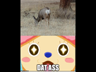 https://image.noelshack.com/fichiers/2016/04/1454017828-dat-ass-deer.jpg